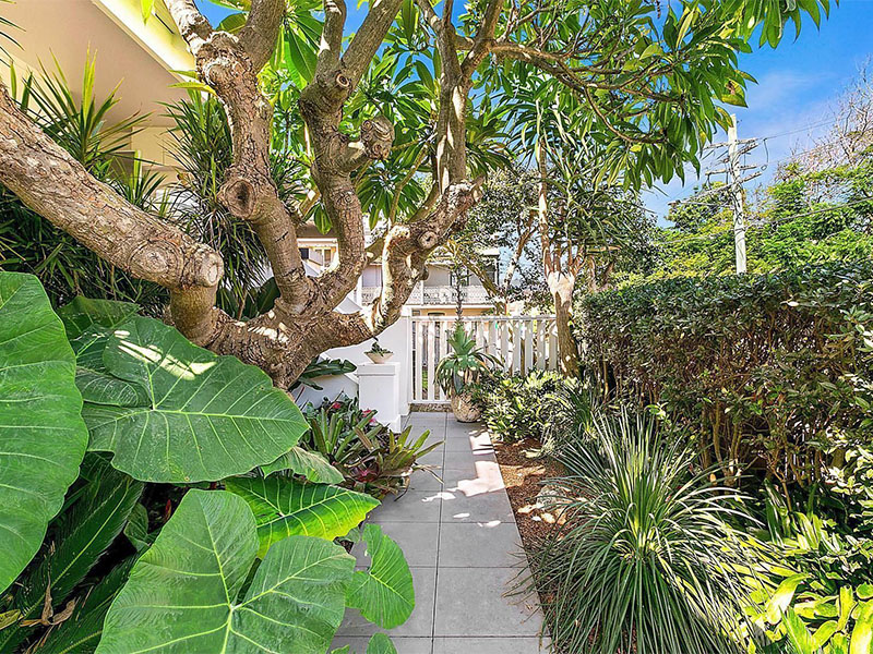 Home Buyers in Waverly St, Randwick, Sydney - Pathway