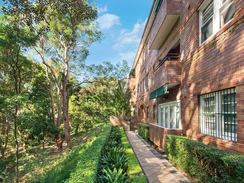 Home Buyers in Raine St, Woollahra, Sydney - Backyard