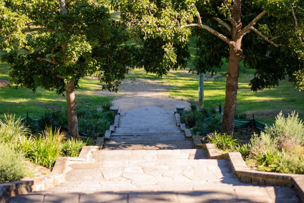 Home Buyer in Birriga Rd, Bellevue Hill, Sydney - Location