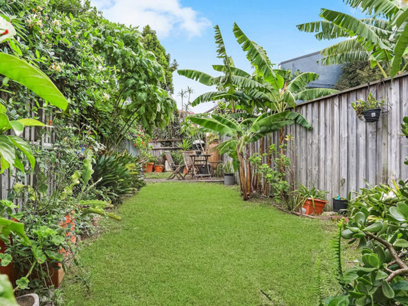 Buyers Agent Purchase in Clovelly, Sydney - Yard