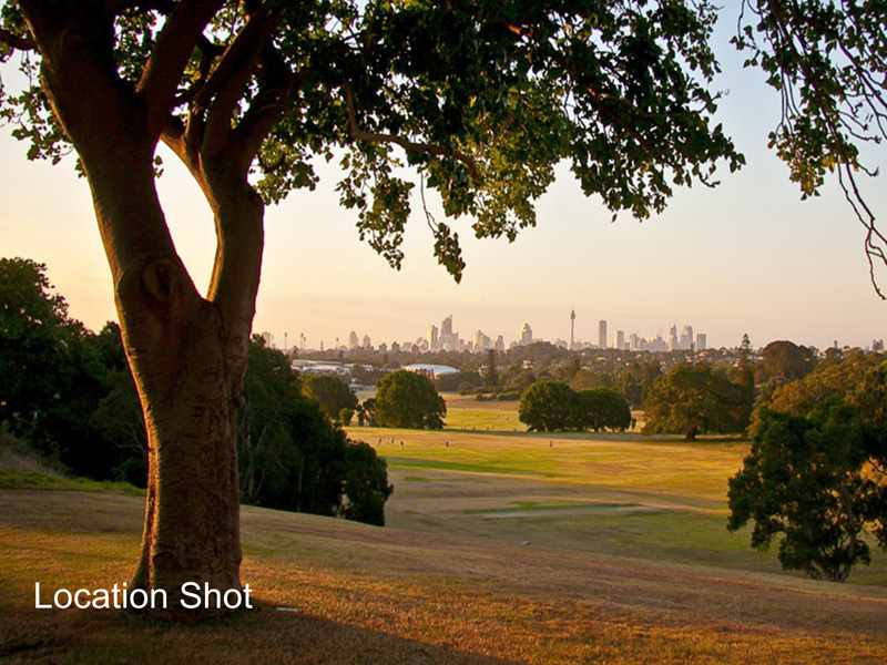 Buyers Agent Purchase in Darley Rd, Randwick, Sydney - Park