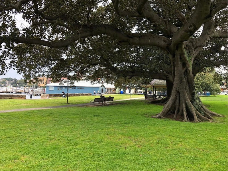 Buyers Agent Purchase in Manning Rd, Double Bay, Sydney - Park