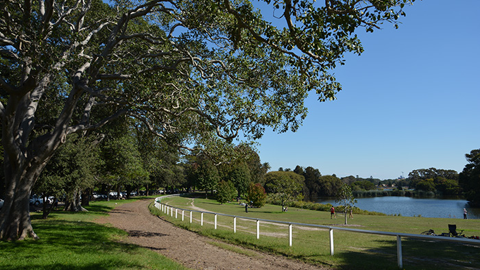 centennial-park-buyers-agent