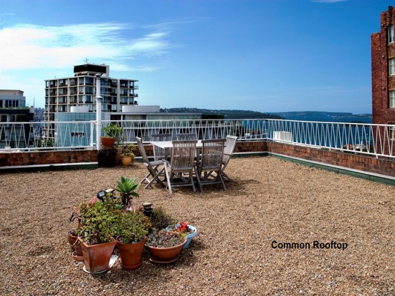 Home Buyers in Birtley Place, Elizabeth Bay, Sydney - Rooftop