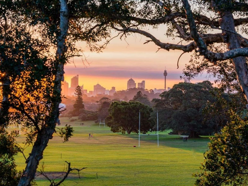 Buyers Agent Purchase in Ashton St, Queens Park, Sydney - Park