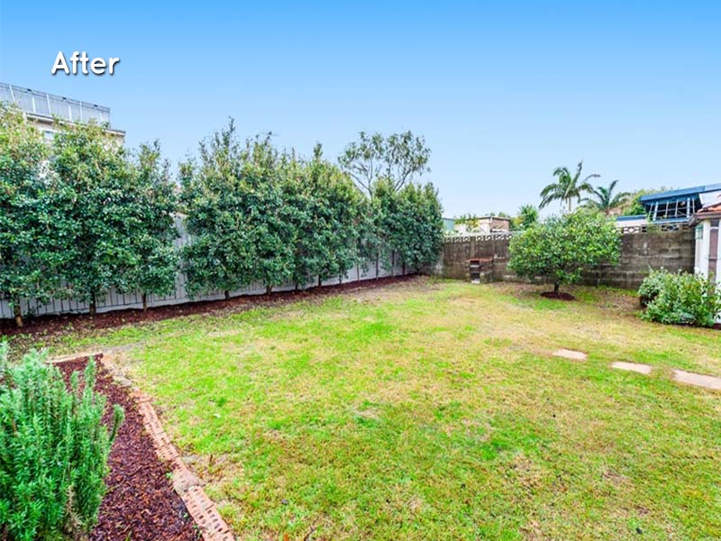 Renovation Purchase in Maroubra, Sydney - Backyard
