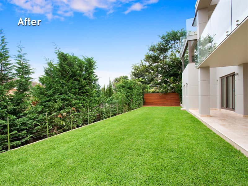 eastern suburbs home renovation backyard after
