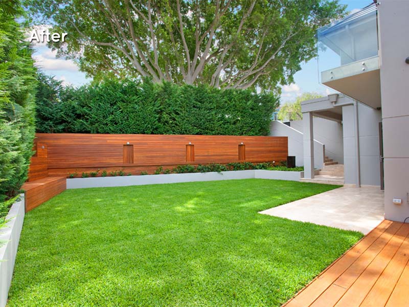 eastern suburbs home renovation front garden after