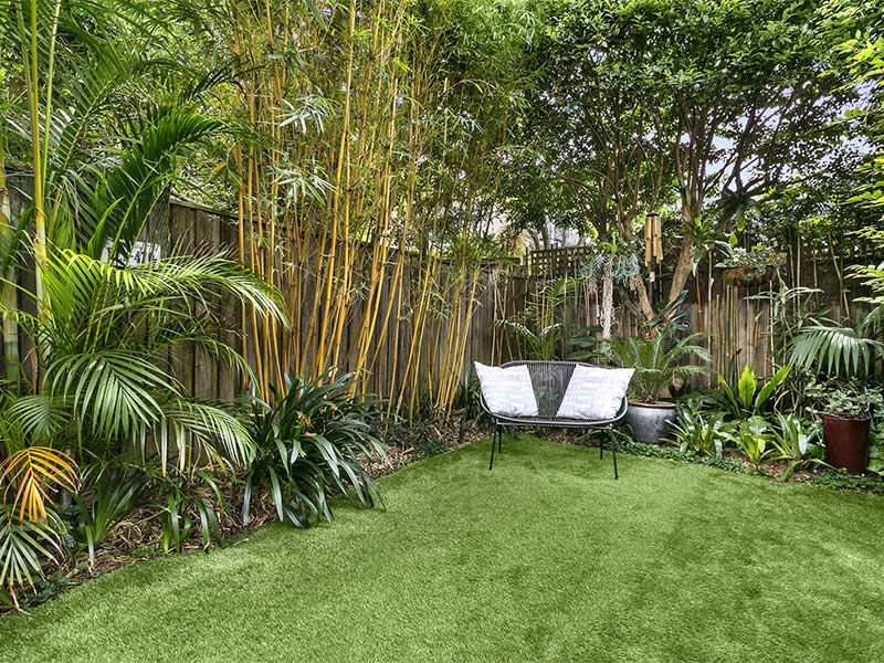 Buyers Agent Purchase in St. James Rd, Bondi Junction, Sydney - Garden