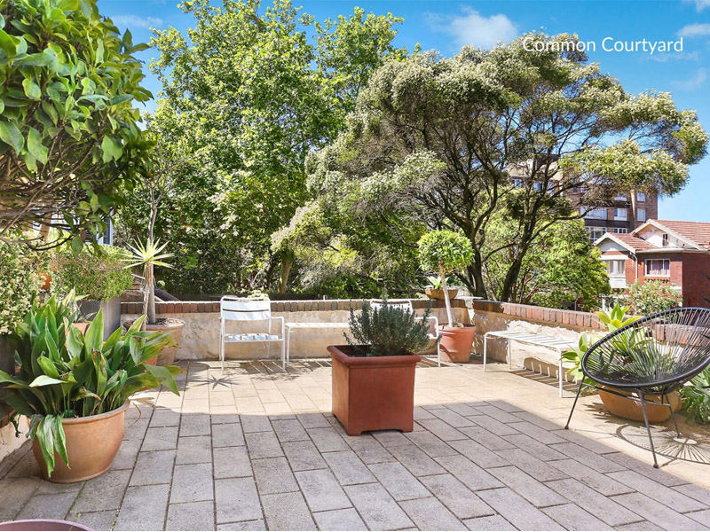 Buyers Agent Purchase – Ocean St North, Bondi, Sydney - Courtyard