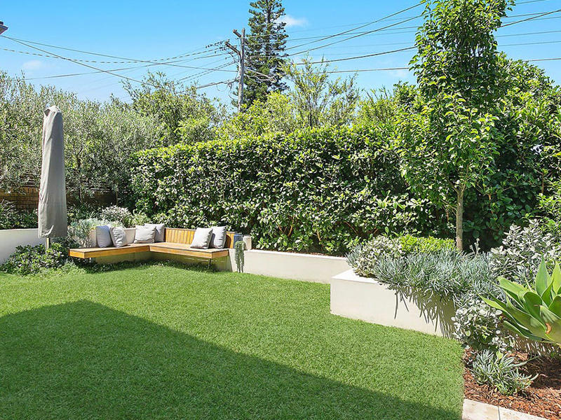 Buyers Agent Purchase – Clifton Rd, Clovelly, Sydney - Backyard