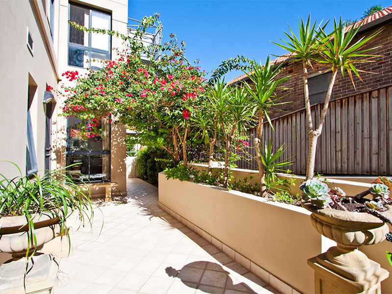 Buyers Agent Purchase – Bellevue Hill, Eastern Suburbs, Sydney - Courtyard