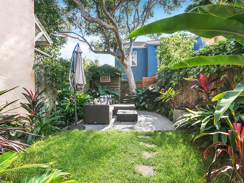 Buyers Agent Purchase – Burnie St, Clovelly, Sydney - Garden