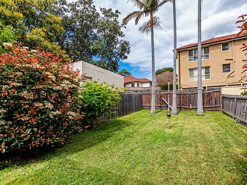 Buyers Agent Purchase – McNair Ave, Kingsford, Sydney - Backyard