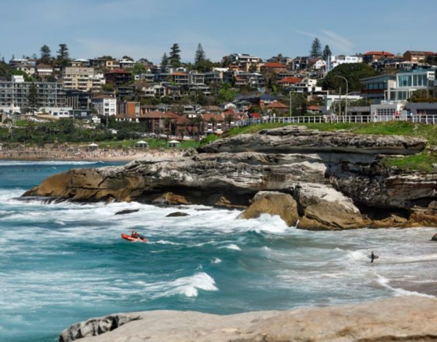 buyers-agent-purchase-tamarama